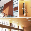 WPC Wall Panel