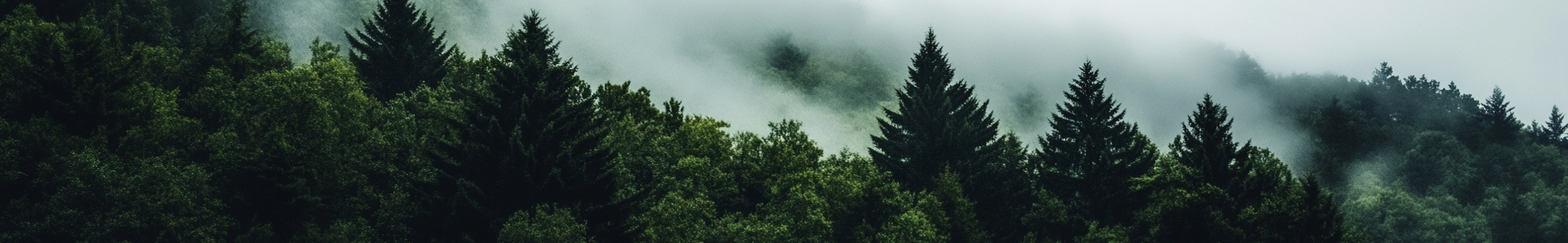 Color Coated Steel Coil solutions