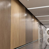 WPC Wall Panel