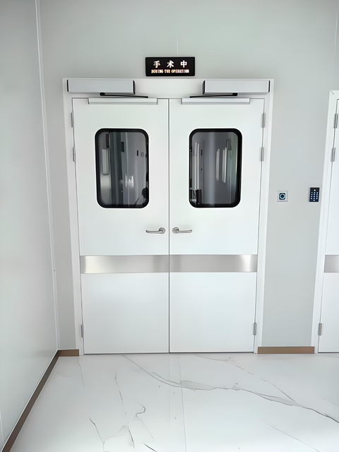 Stainless Steel Cleanroom Cold Room Door | Flush Surface | GMP Compliant for Pharma Vaccine Storage